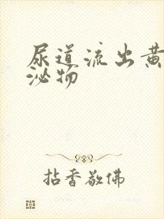 尿道流出黄色分泌物