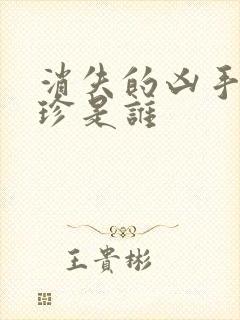 消失的凶手宋玉珍是谁封面