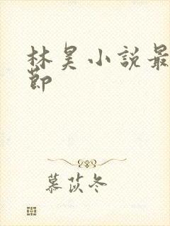 林昊小说最新章节