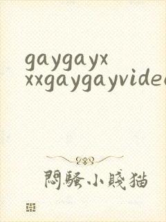 gaygayxxxgaygayvideo
