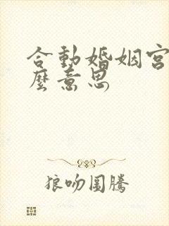 合动婚姻宫是什么意思封面