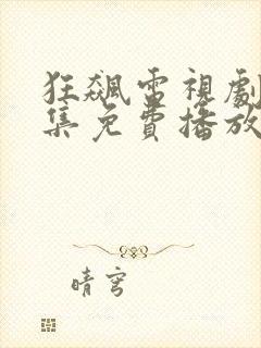 狂飙电视剧40集免费播放视频大全