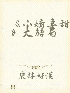 《小娇妻甜如蜜》大结局