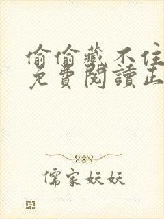 偷偷藏不住全文免费阅读正文