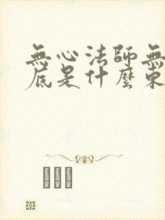 无心法师无心到底是什么东西