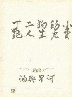 丁二狗的小说猎艳人生免费阅读全文