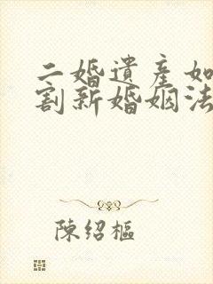 二婚遗产如何分割新婚姻法