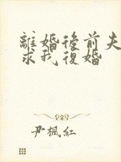 离婚后前夫哭着求我复婚