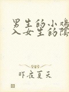 男生的小鸡鸡插入女生的阴道里