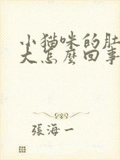 小猫咪的肚子很大怎么回事