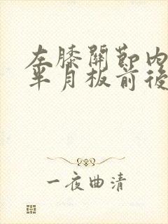 左膝关节内外侧半月板前后角损伤