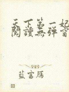天下第一妃免费阅读无弹窗