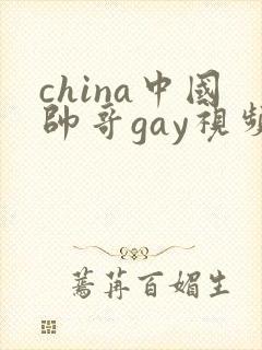 china中国帅哥gay视频封面