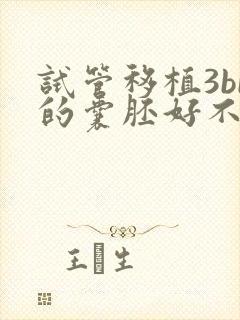 试管移植3bb的囊胚好不好