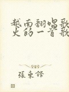 越南翻唱歌曲最火的一首歌