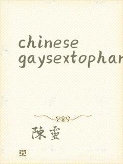 chinesegaysextophard封面