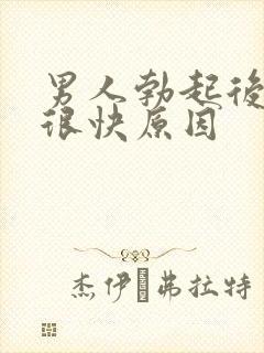 男人勃起后软的很快原因封面