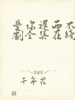 爱你迟而不晚短剧全集在线观看免费