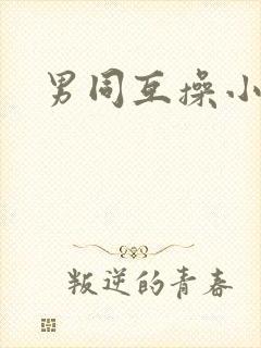 男同互操小