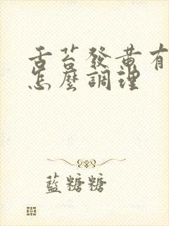 舌苔发黄有齿痕怎么调理