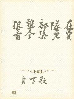 狙击部队在线观看全集免费播放