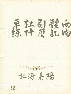 单杠引体向上是练什么肌肉的