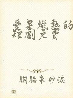 爱是炽热的秘密短剧免费