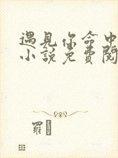 遇见你命中此劫小说免费阅读封面