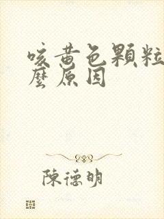 咳黄色颗粒痰什么原因