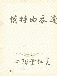 模特内衣透明秀