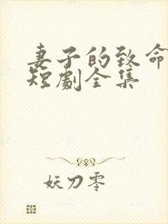 妻子的致命谎言短剧全集