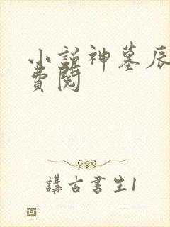 小说神墓辰东免费阅