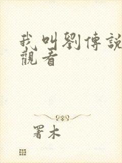 我叫刘传说免费观看