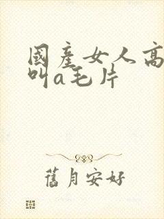 国产女人高潮大叫a毛片