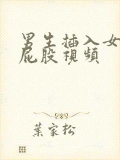 男生插入女生的屁股视频