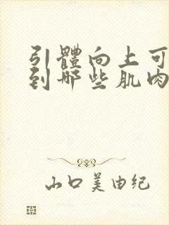 引体向上可以练到哪些肌肉封面