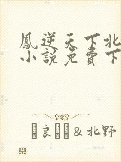 凤逆天下北月篇小说免费下载