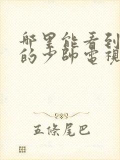 哪里能看到免费的少帅电视剧