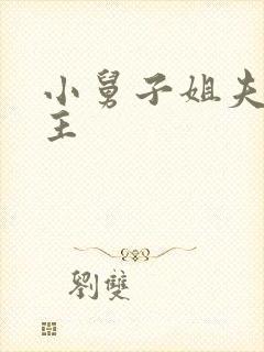 小舅子姐夫双男主