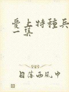 爱上特种兵最后一集