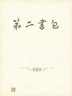第二书包