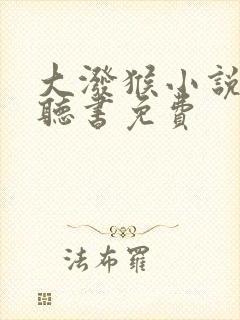 大泼猴小说有声听书免费