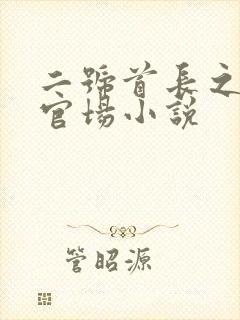 二号首长之类的官场小说