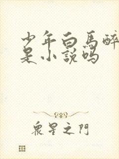 少年白马醉春风是小说吗