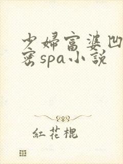 少妇富婆凹凸私密spa小说