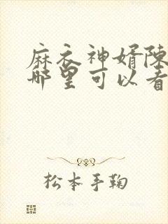 麻衣神婿陈黄皮哪里可以看