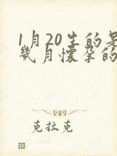 1月20生的是几月怀孕的