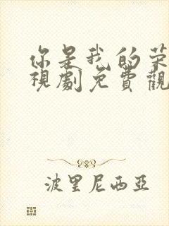 你是我的荣耀电视剧免费观看全集在线播放