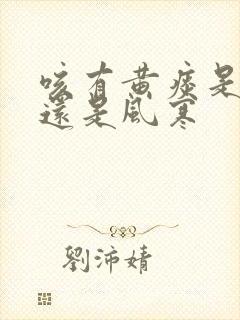 咳有黄痰是风热还是风寒