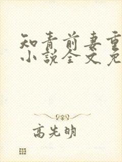 知青前妻重生了小说全文免费阅读